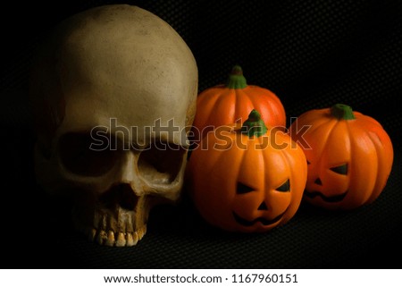 Halloween pumpkin jack and skull in black holiday background image.