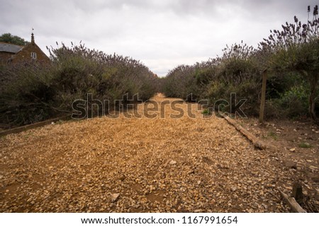 Wide gravel garden path