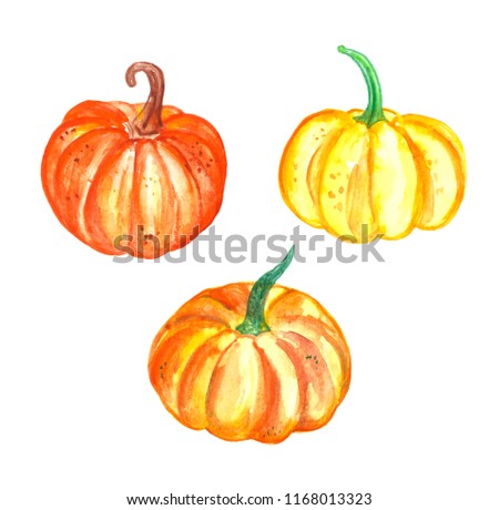 Hand drawn watercolor vegetables pumpkins, isolated on white background. Harvest season, halloween theme deasign.
