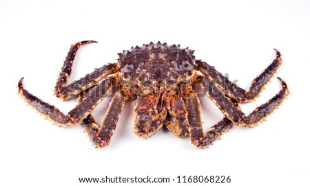 Close-up view of king crab isolated on white background. Royalty-Free Stock Photo #1168068226
