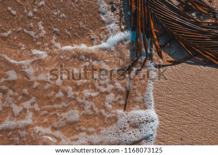 texture sand water dry palm leaf