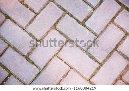 texture of a red brick floor in the park