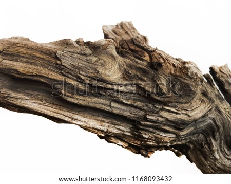 Driftwood/aged wood over white background. Isolated piece of driftwood top view. Driftwood stick closeup, wood texture for aquarium. Royalty-Free Stock Photo #1168093432