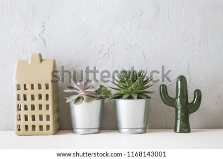 scandinavian interiour shelf with succulents on concrete wall