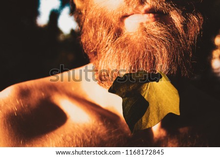 Ginger red man beard