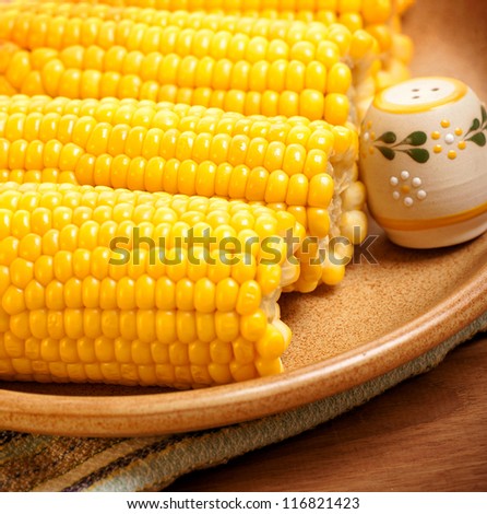 Picture of cooked corncob with saltshaker on the plate in kitchen