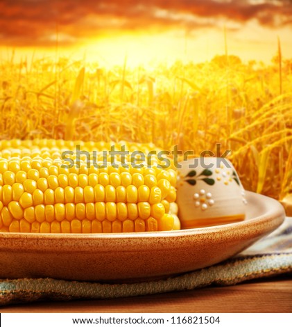 Picture of tasty boiled corncob with salt on the plate on sunset background, ripe corn field and warm autumn sunlight