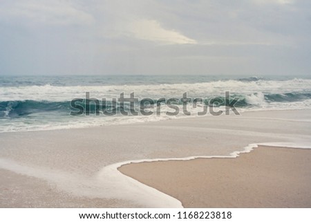 Artistic trealtment of beach landscape seascape. Foggy overcast day, lush muted coloring.
