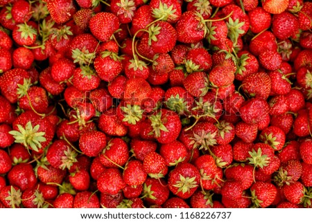texture for the background, lots of strawberry berries. Wallpaper