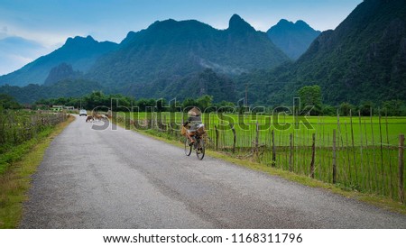 Farmer riding a bicycle on a rural road. The mountains and rice fields. Rural life in Vang Vieng, Laos Royalty-Free Stock Photo #1168311796