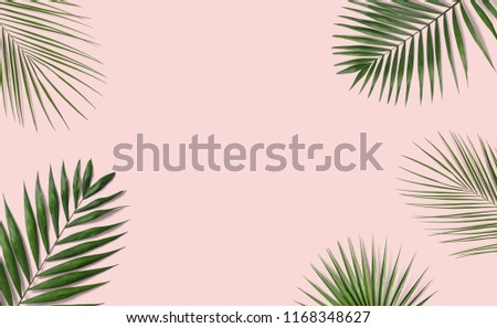 Tropical palm leaves on pink background for design. Summer Styled. High quality image. Top view