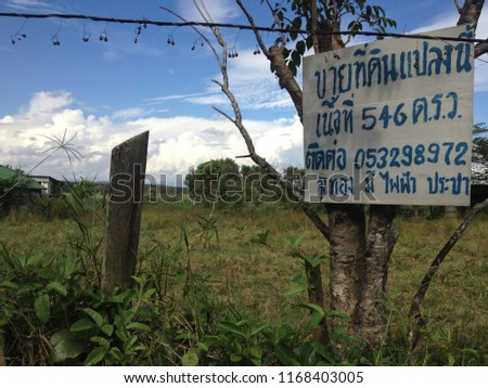 Signboard ( land for sale , 2184 square meters, contact no. 053298972 )