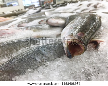 Fish  raw , seafood For sale in the supermarket