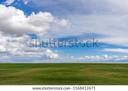 Grassland with blue sky