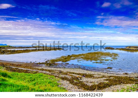 Beautiful isolated Iceland beach with blue skies and puffy clouds. Moss covered hills and mountains in background. Wild flowers on beach.