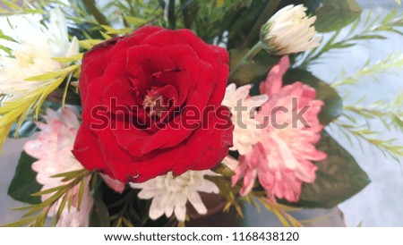 Composition of fresh flowers