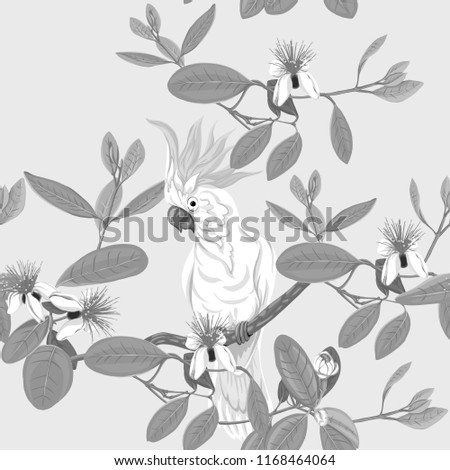 Seamless pattern, background with floral pattern with feijoa blooming flowers and  and cockatoo parrot. Vector illustration without gradients and transparency.  In monochrome gray colors