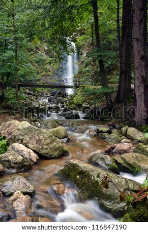 View of waterfall and a river in the forest