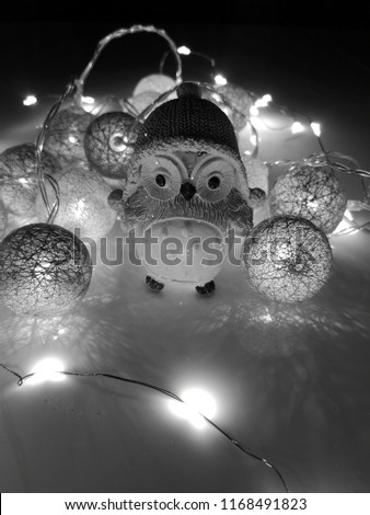 Taking some shots of my decoration light chain in my Apartment. On some Pictures you can see two different owls