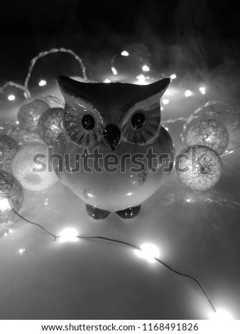 Taking some shots of my decoration light chain in my Apartment. On some Pictures you can see two different owls