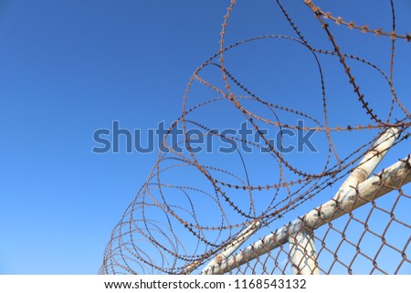 Wire fence photo shoot