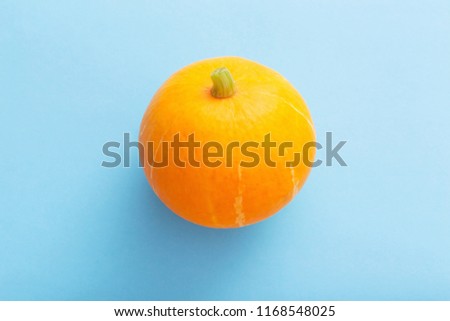 orange pumpkin  on color background