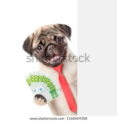 Dog behind white banner with euro. isolated on white background