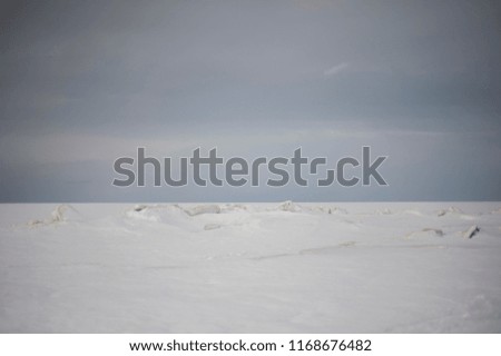 Outdoor North, White sea, northern nature