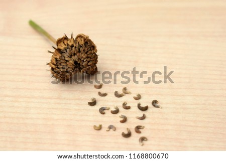 Seeds of marigold (Calendula officinalis) on wooden background