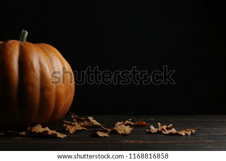 Pumpkin on a dark background, chelow. Copy space.