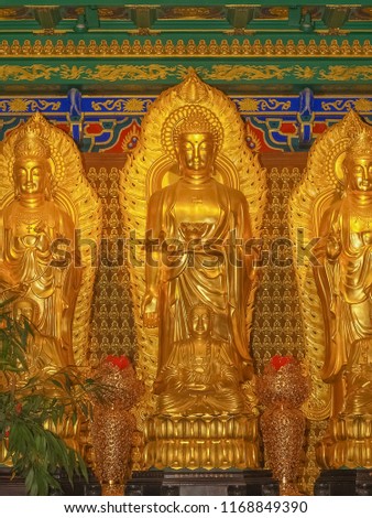 view of golden buddha image, Chinese Temple Wat Borom Racha Kanchanapisek Anusorn (Leng nuei Yee 2), Nonthaburi Thailand.