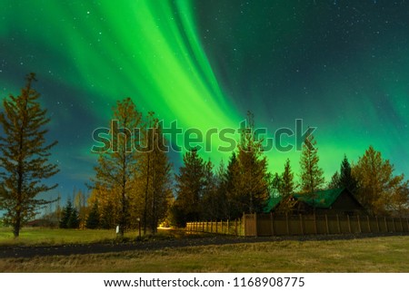 Northern Lights over the farmer in Iceland. Aurora Borealis in an amazing nightscape. Travel destination with beautiful green lights landscape. Royalty-Free Stock Photo #1168908775