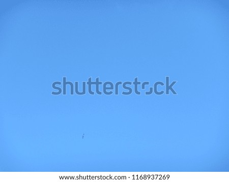 Small distant bird of prey in a pristine clear blue sky