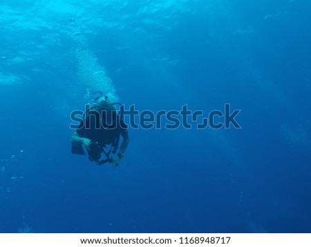 Male scuba diver holding a photography camera swimming under the water of Thai Indian Ocean in Similan Islands