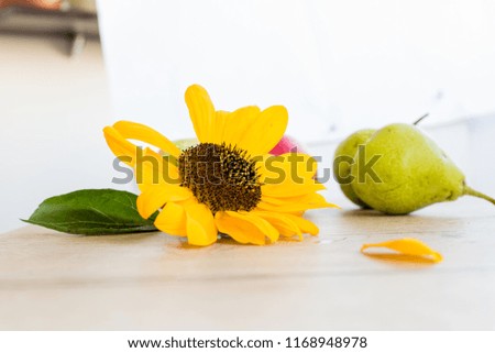 A blossoming sunflower lies on a wooden table with a crop of apples and pears