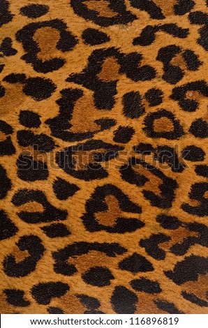 A printed representation of the beautiful markings of a leopard skin