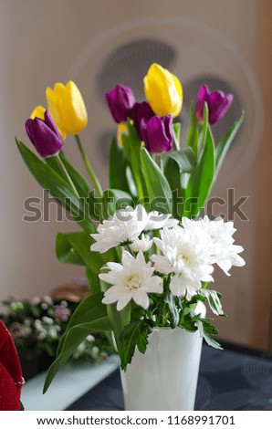 Stock photo of the bouquet of daisies in front of the tulips