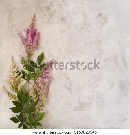 Flowers (multicolored astilba) on gray background. Wedding or birthday invitation or message concept and mockup. Top view and flat lay with copy space.
