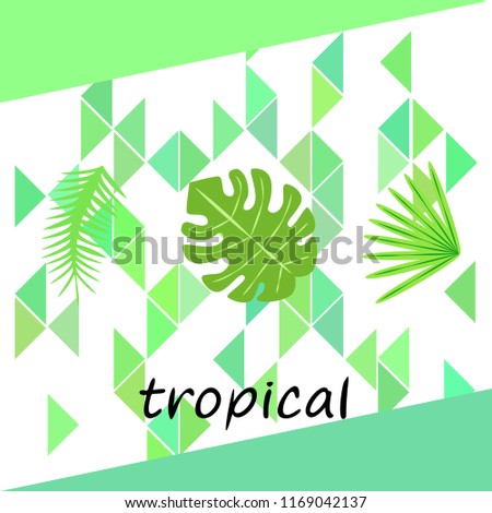 tropical summer tropical plant vector background