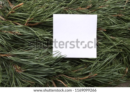 White empty frame on green pine branches background. Blank card snowflake on  pine branches.
