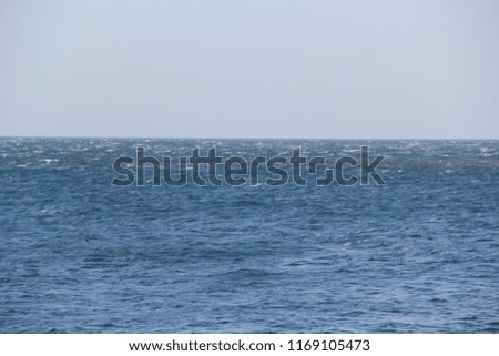 Sea. Strong wind. Visible white crests of the waves
