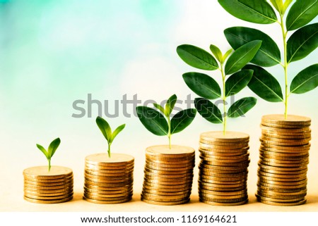 Concept of investment like a growing plant, There is interest and profit from investing fund. It is stacking coin and sky blue bokeh background. wallpaper for investment and cumulative