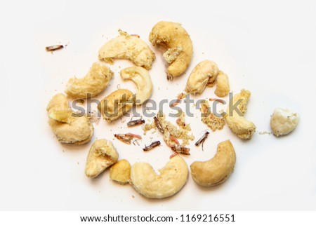 A picture of cashew nuts infested with caterpillars and butterflies of the meal moth. Isolated on a white background. 