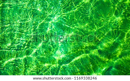  View of a beach in abstract green tones