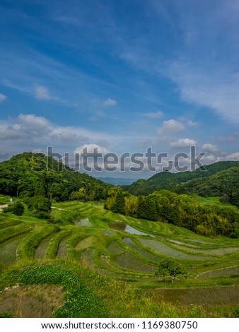It is a rice terrace in Japan. This place is called "Ohyamasenmaida" in Chiba Prefecture of Japan. This rice paddy is made on the slope and grows rice. Green is shining and it is very beautiful.