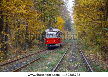 Red tram traveling in the tunnel of autumn trees. Kiev, Ukraine
