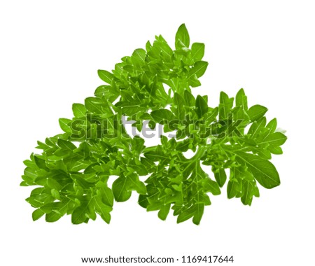 parsley isolated on white background, full depth of field