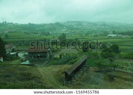 beautiful green suburban landscape of Portugal in the summer morning in a fog, near Aveled: hills, low farmhouses and residential buildings, vegetable gardens, trees, grass field, cloudy sky