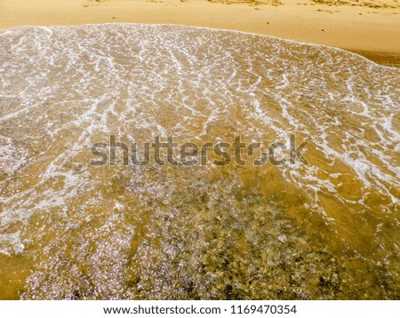 Summer beach and soft wave past. Sand and sea