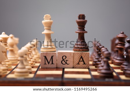 Close-up Of King Chess Pieces On Wooden Blocks With Mergers And Acquisitions Royalty-Free Stock Photo #1169495266